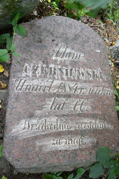 Nagrobek Adama Czerniewskiego, cmentarz na Rossie w Wilnie, stan na 2013 r.