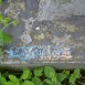 Photo showing Tombstone of Bronislava Winczová