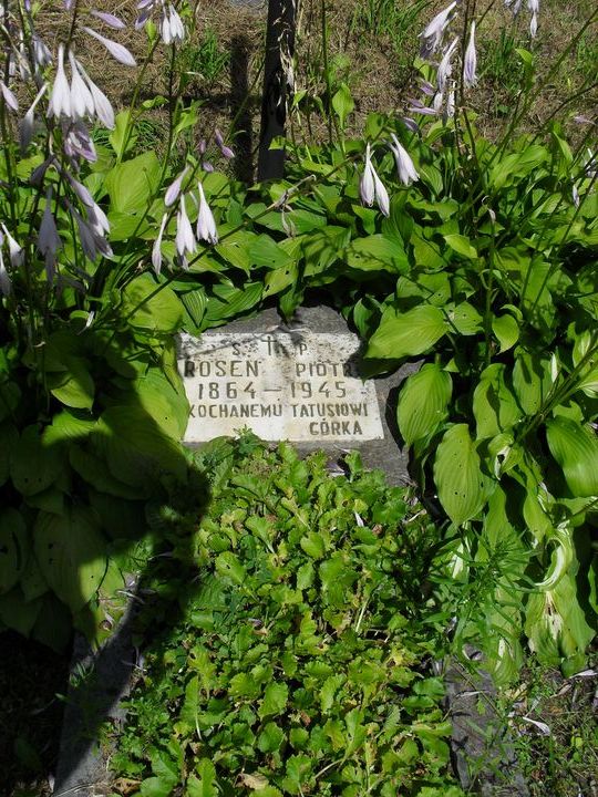 Fragment nagrobka Piotra Rosen, cmentarz na Rossie, stan z 2014 roku