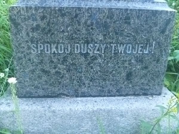 Fragment of the gravestone of Ludwika Dowmont-Siesicka, Ross cemetery, as of 2014