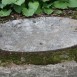Photo showing Tombstone of Józefa Błuś