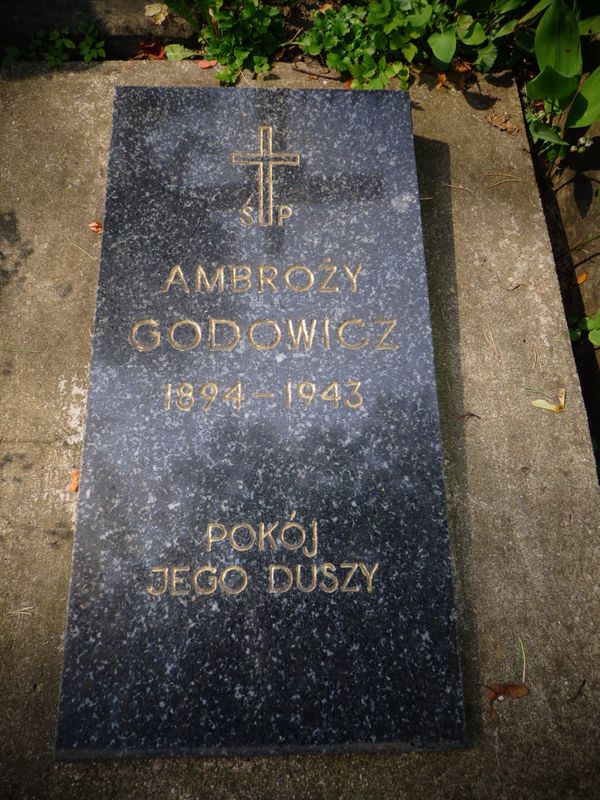 Płyta nagrobna Ambrożego Godowicza, cmentarz na Rossie w Wilnie, stan na 2013 r.