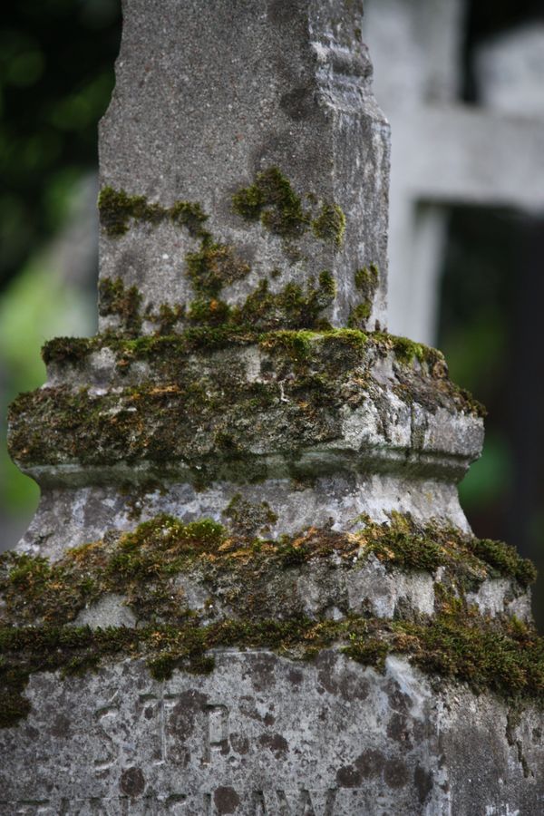 Tombstone of Stanislaw Macutkiewicz, Ross cemetery in Vilnius, as of 2013.