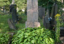 Photo montrant Tombstone of Czesław Jankowski