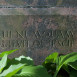 Photo montrant Tombstone of Czesław Jankowski