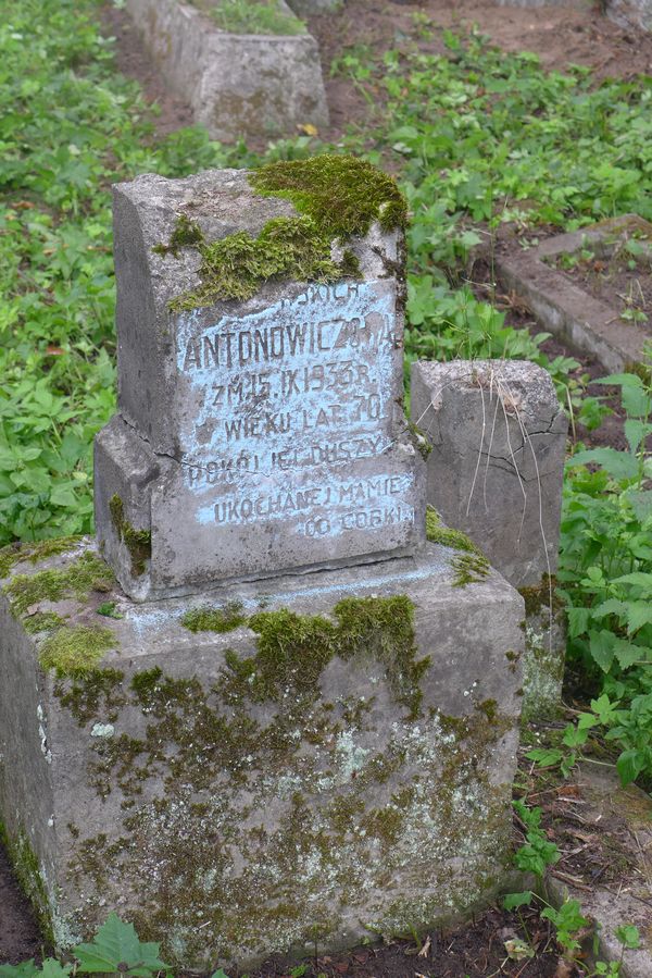 Tombstone of N. N. Antonovich, Na Rossie cemetery in Vilnius, as of 2013