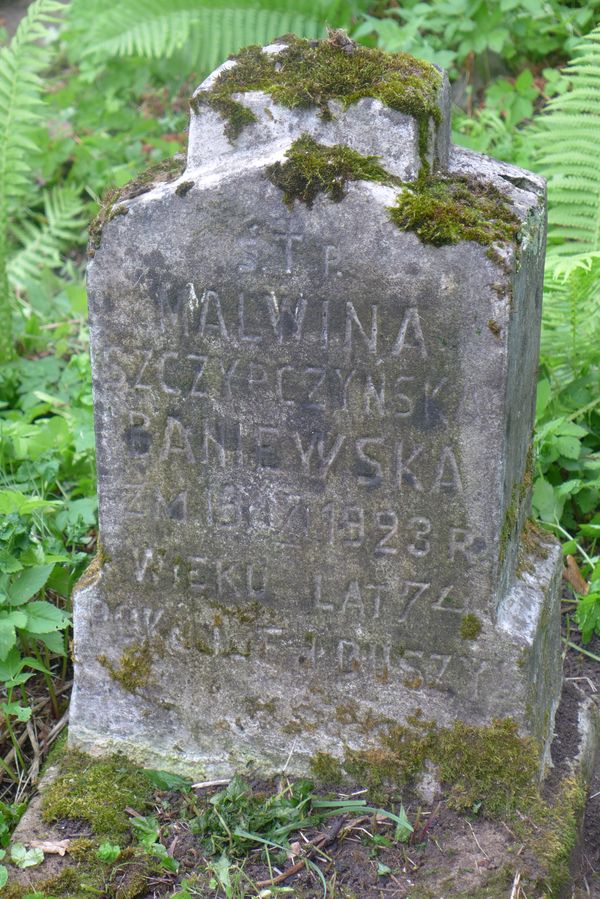 Fragment nagrobka Malwiny Szczypczyńskiej Baniewskiej, cmentarz Na Rossie w Wilnie, stan z 2013