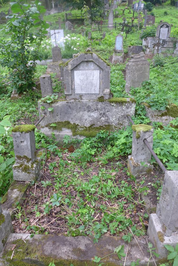 Nagrobek Józefa Dowejko, cmentarz Na Rossie w Wilnie, stan z 2013