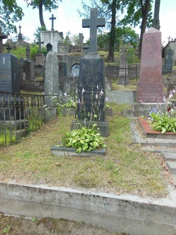 Nagrobek Aleksandra Januszewskiego, cmentarz na Rossie w Wilnie, stan z 2014