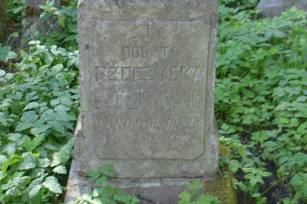 Fragment of the tombstone of Dorota Rzeczycka, from the Ross cemetery in Vilnius, as of 2013, from the Ross cemetery in Vilnius, as of 2013