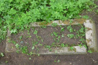 Nagrobek Antoniny Daszkiewicz,  z cmentarza na Rossie w Wilnie, stan z 2013 roku