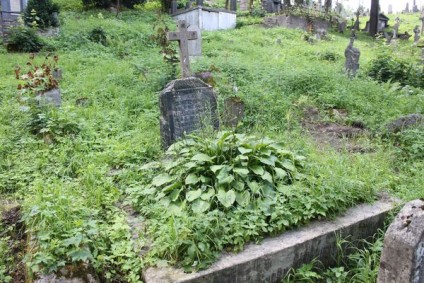 Nagrobek rodziny Nowickich, cmentarz Na Rossie w Wilnie, stan z 2013