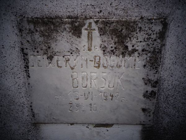 Tablica inskrypcyjna z grobowca Seweryna Borsuka, cmentarz Na Rossie w Wilnie, stan z 2013 roku