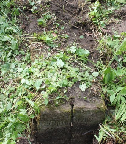 Nagrobek Bronisława Antonowicza, z cmentarza na Rossie w Wilnie, stan z 2013 roku