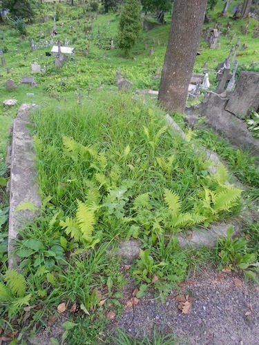 The tomb of Valeria Lopuszanska, Na Rossie cemetery in Vilnius, as of 2013.