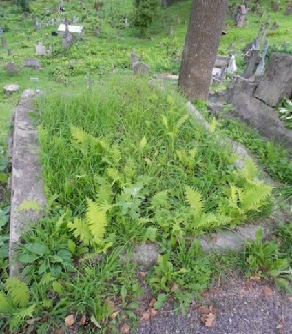 Grobowiec Walerii Łopuszańskiej, cmentarz Na Rossie w Wilnie, stan z 2013 r.