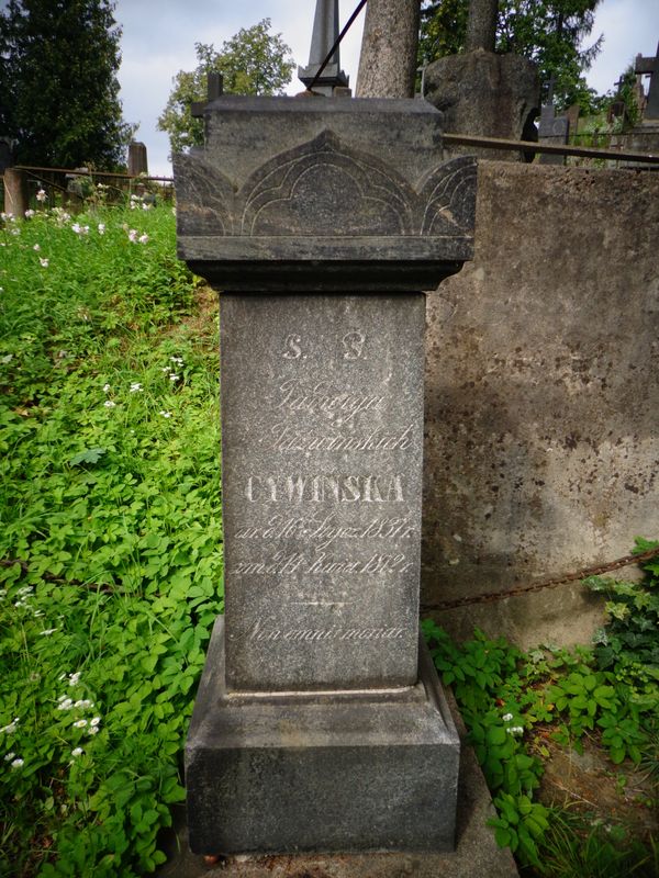 Grobowiec rodziny Cywińskich, cmentarz na Rossie w Wilnie, stan z 2013 r.