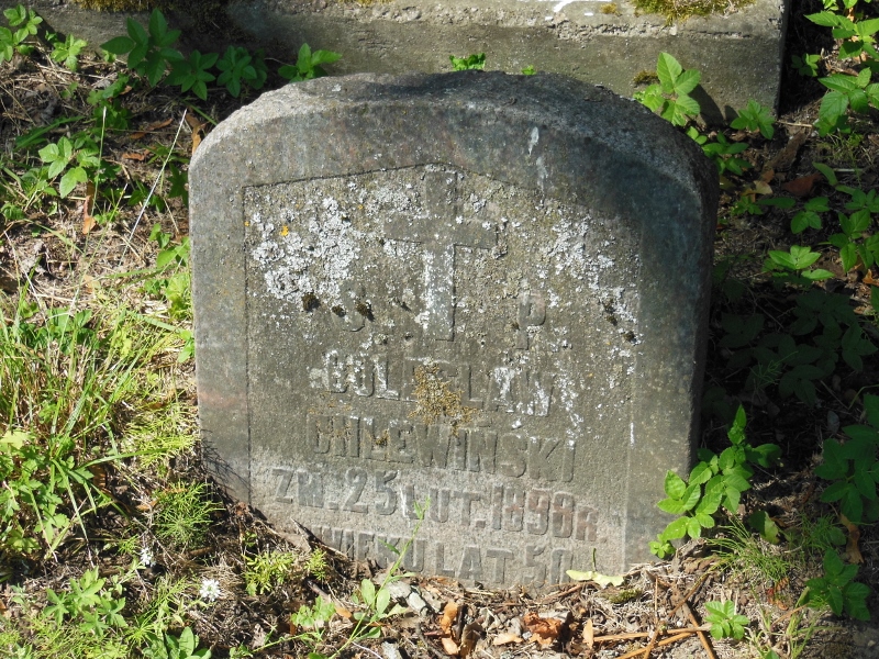 Tombstone of Bolesław Chlewiński, Na Rossie cemetery in Vilnius, as of 2014.