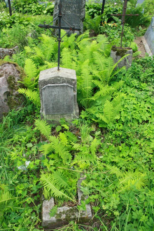 Tombstone of Michalina Milewska, Na Rossie cemetery in Vilnius, as of 2013.