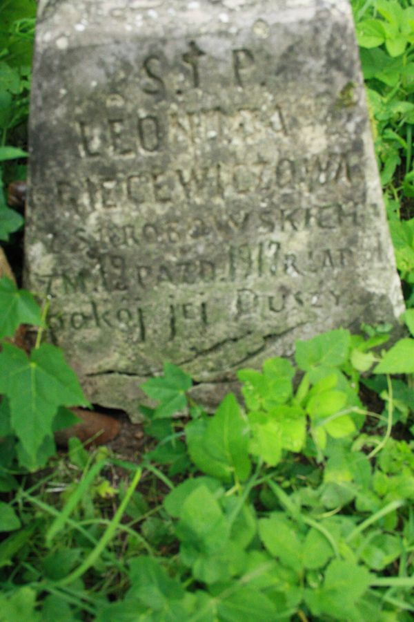 Fragment nagrobka Leonidy Giecewicz, cmentarz Na Rossie w Wilnie, stan z 2013 r.