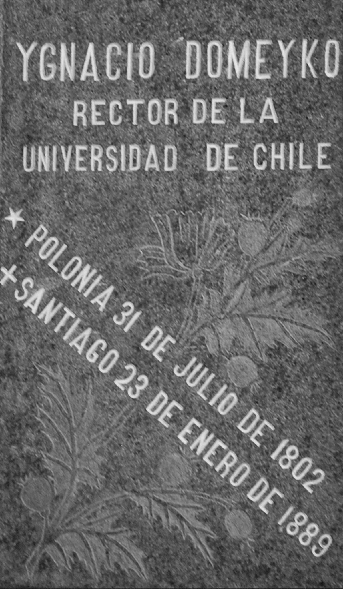 Ігнатій Домейко та його надгробок у Чилі, детальніше