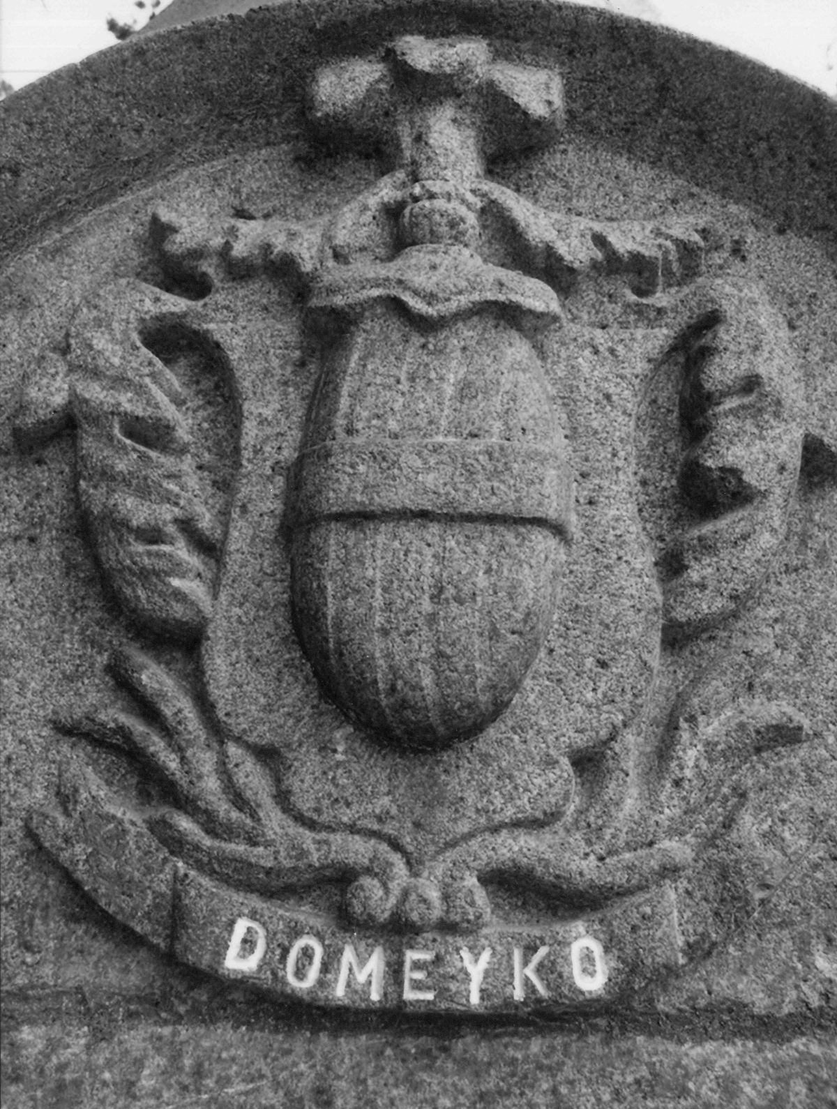 Ігнатій Домейко та його надгробок у Чилі, деталь, гербовий картуш