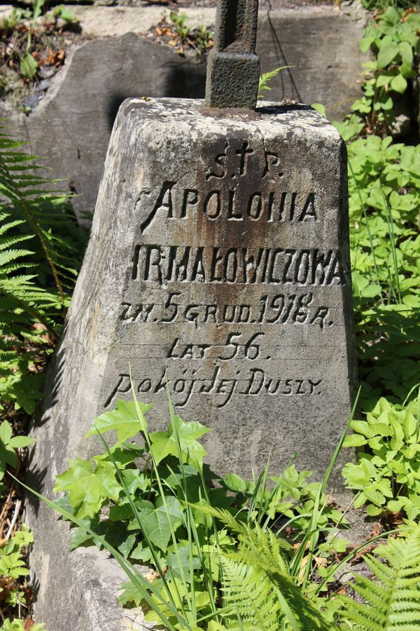 A fragment of the gravestone of Apolonia Irma³owicz, Na Rossie cemetery in Vilnius, as of 2013