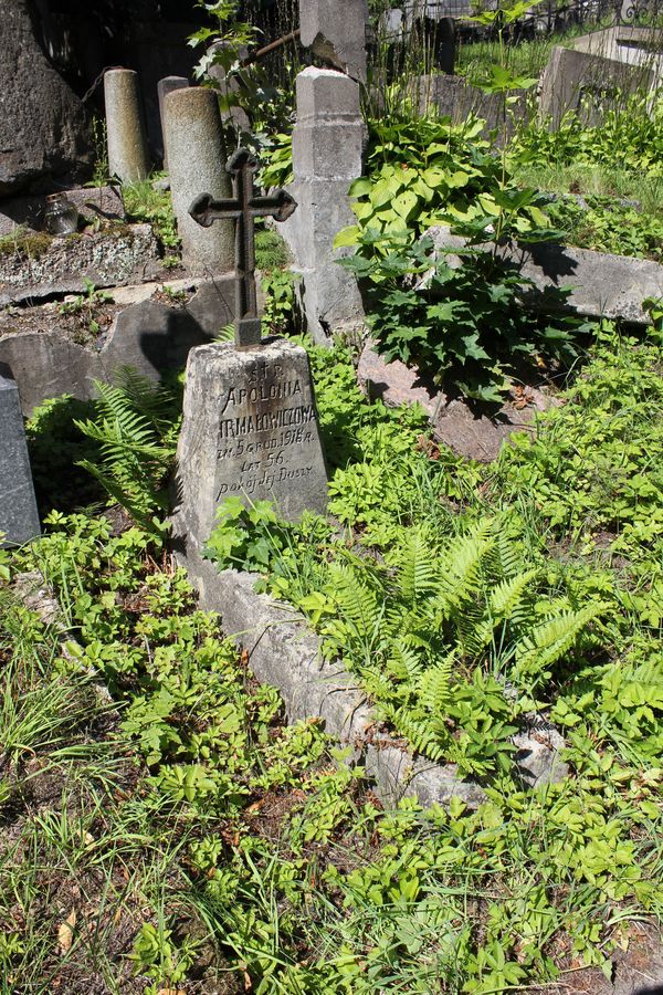 Tombstone of Apolonia Irma³owicz, Na Rossie cemetery in Vilnius, as of 2013