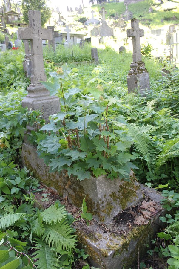 Tombstone of Jozef Tomaszkiewicz, from the Ross cemetery in Vilnius, as of 2013