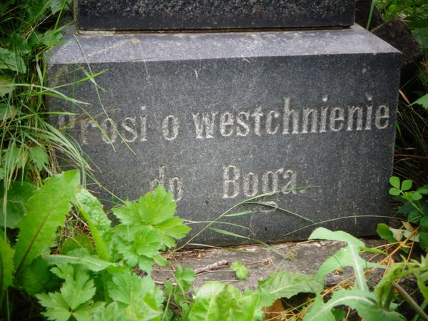 Detal z nagrobka Józefa Kulawca, cmentarz Na Rossie w Wilnie, stan z 2013 roku