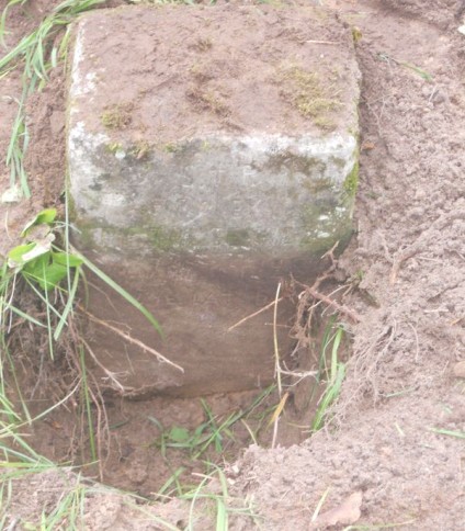 Nagrobek Franciszka Pietrusewicza, cmentarz na Rossie, stan z 2013 roku