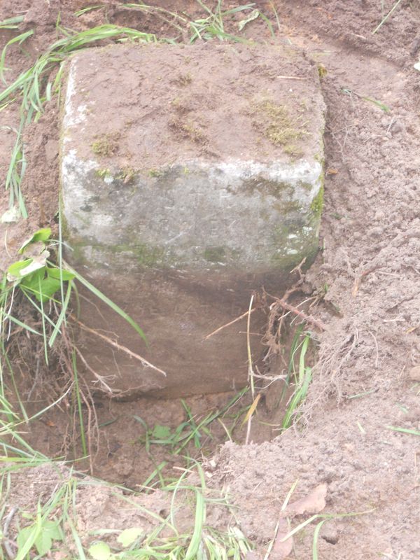 Tombstone of Franciszek Pietrusewicz, Ross cemetery, as of 2013