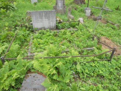 Nagrobek rodziny Bartoszewicz, cmentarz na Rossie, stan z 2013 roku
