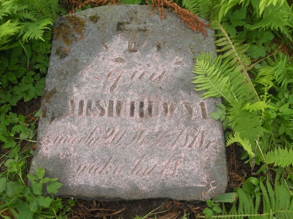 Tombstone of Zofia Misiur, Ross cemetery, state of 2013