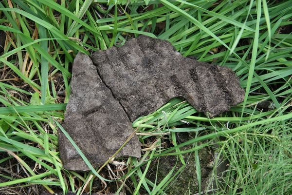 Fragments of Marian Bacewicz's tombstone, Ross cemetery, as of 2013