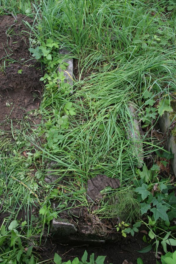Fragments of Marian Bacewicz's tombstone, Ross cemetery, as of 2013