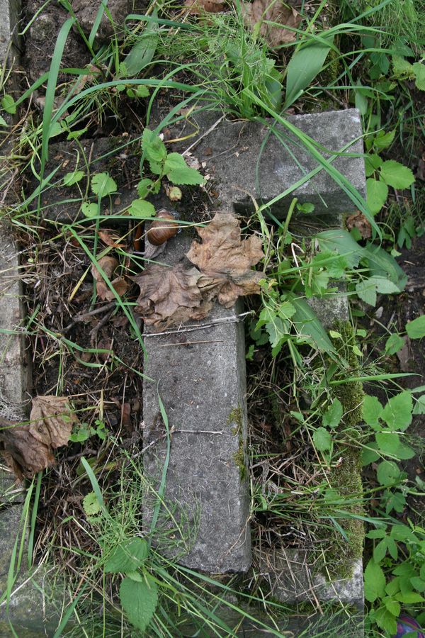 Fragmenty nagrobka Marii Januszewicz, cmentarz na Rossie, stan z 2013 roku