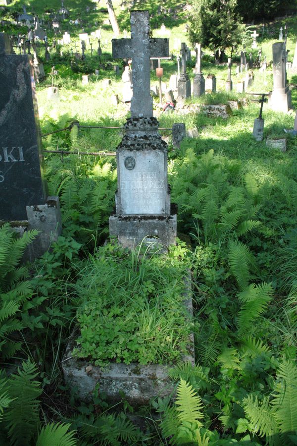 Nagrobek Stefana Fiedorowicza, cmentarz Na Rossie w Wilnie, stan z 2013 r.