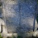 Fotografia przedstawiająca Nagrobek Ksawery Maculewicz