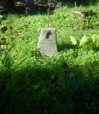 Nagrobek Zygmunta Wołoszynowicza, cmentarz na Rossie w Wilnie, stan z 2013 r.