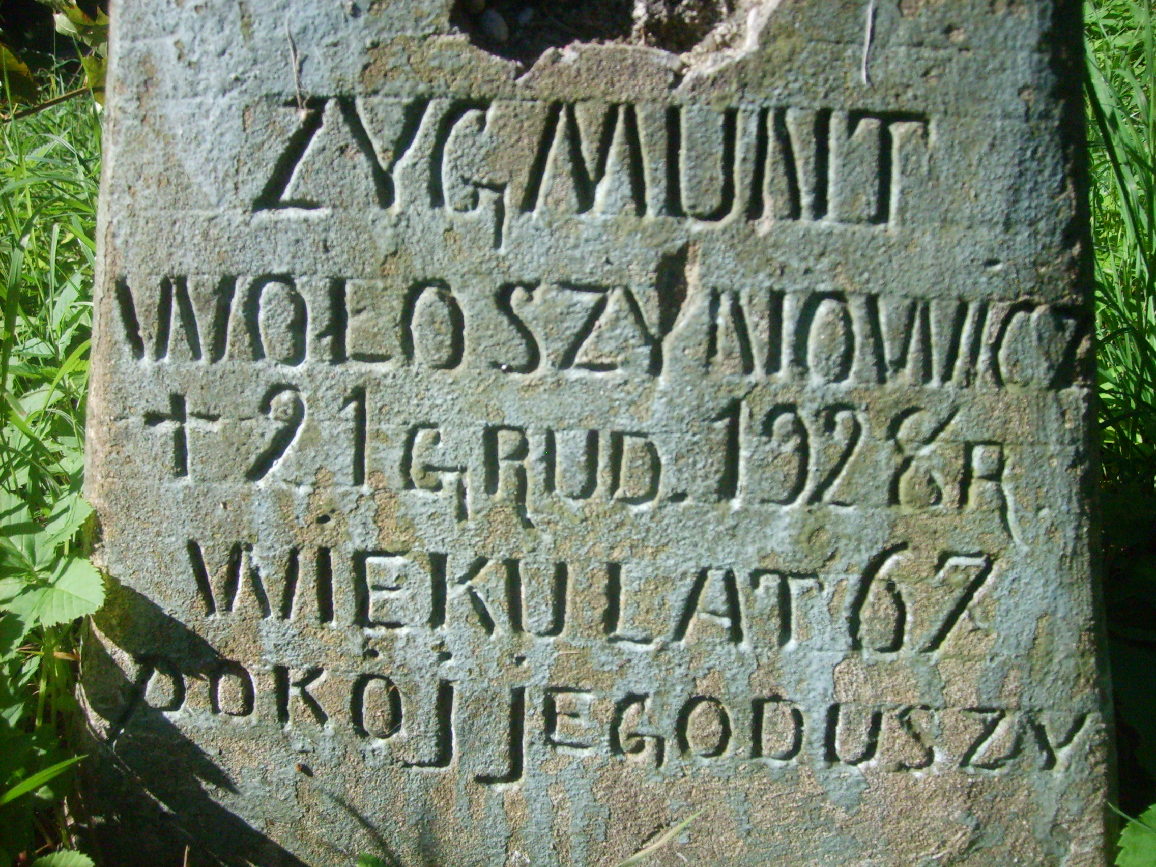 Nagrobek Zygmunta Wołoszynowicza, cmentarz na Rossie w Wilnie, stan z 2013 r.