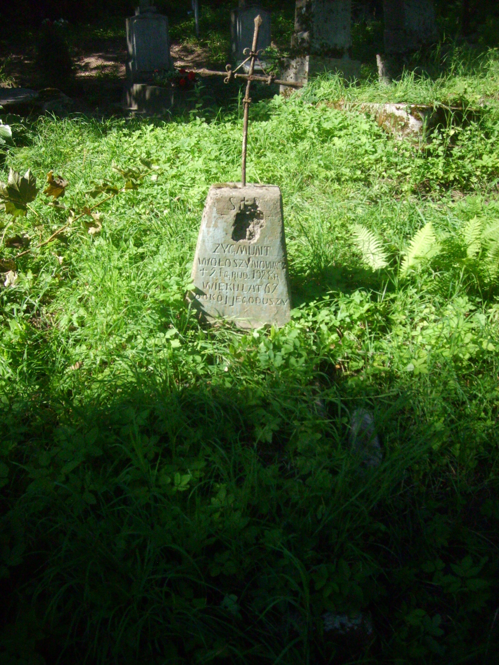 Nagrobek Zygmunta Wołoszynowicza, cmentarz na Rossie w Wilnie, stan z 2013 r.