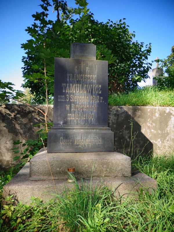 Grobowiec Franciszka Tamulewicza, cmentarz Na Rossie w Wilnie, stan z 2013 roku