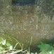 Photo montrant Tombstone of Bronisław Łoekuczewicz