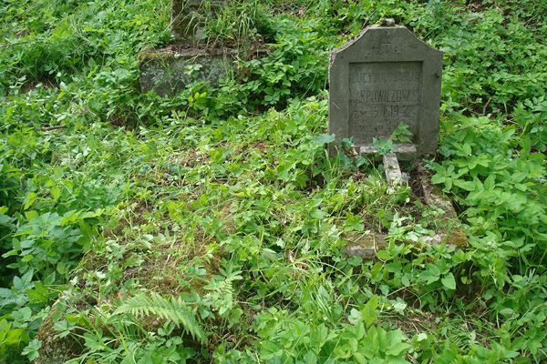 Nagrobek Lucyny Karpowicz, cmentarz na Rossie, stan z 2013 roku