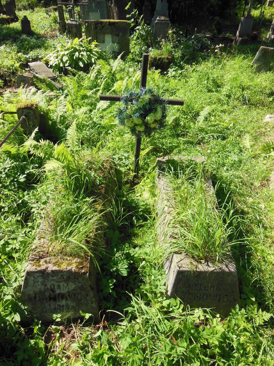 Nagrobek Adamowiczów, cmentarz na Rossie w Wilnie, stan z 2013 r.