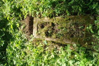 Nagrobek Alfreda Jasiniewicza, cmentarz na Rossie, stan z 2013 roku