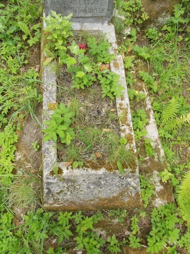Fragment of Karol Kaminski's tombstone, Na Rossie cemetery in Vilnius, as of 2013.