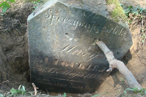 Tombstone of Maria Sutocka, Ross cemetery, state of 2013