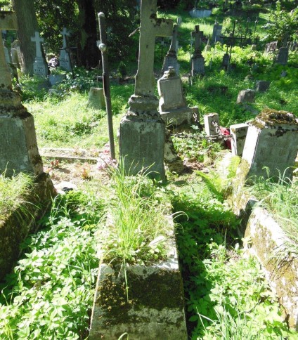 Nagrobek Antoniego Kluka, cmentarz na Rossie w Wilnie, stan z 2013 r.